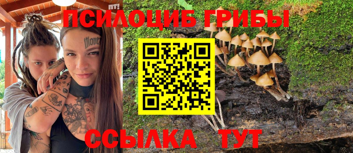 Казань  Псилоцибиновые грибы GOLDEN TEACHER  Вход с VPN 
